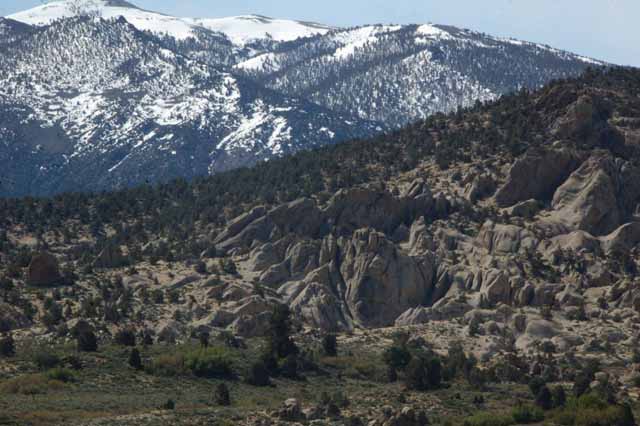 Buttermilk Country